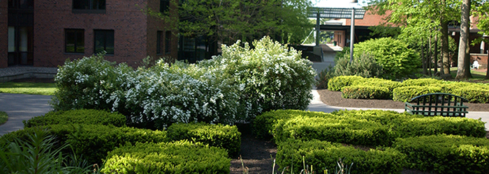 Landscaping outside of Palamountain Hall