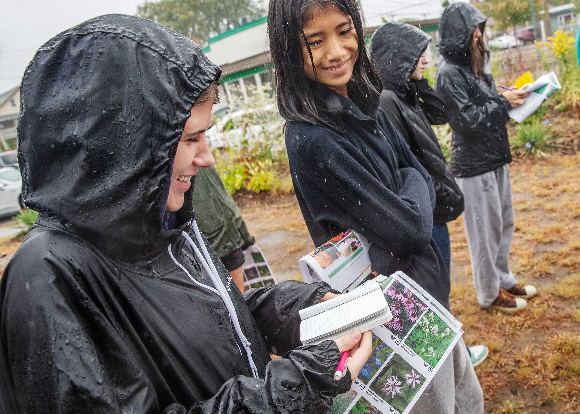 Group of students in rain jackets standing outdoors in light rain, examining plant guides and taking notes while observing vegetation.