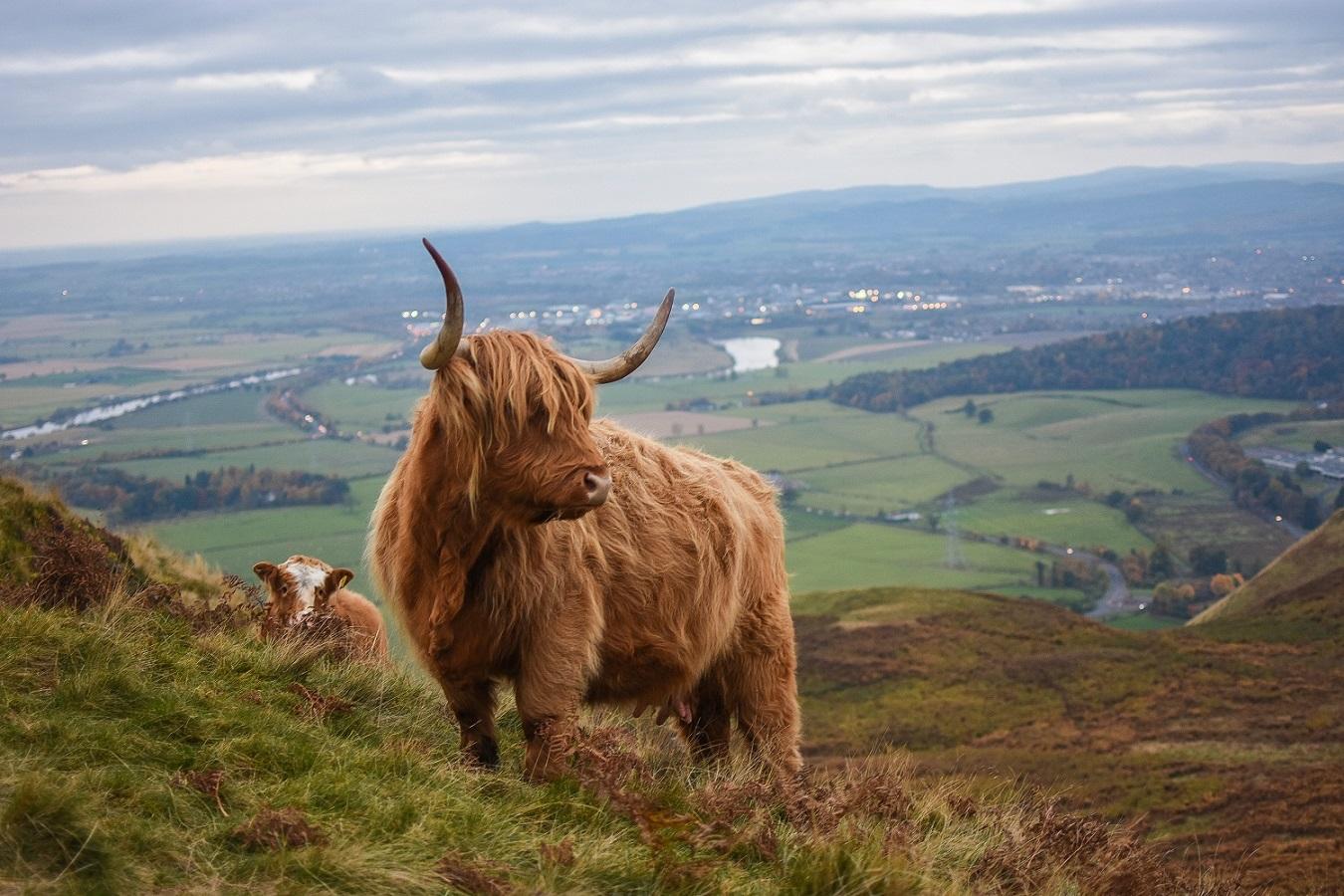 Scotland%3A%20Just%20Cooling