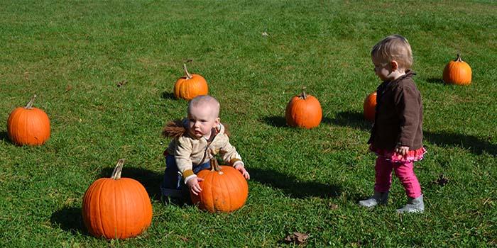 Greenberg%20Child%20Care%20Center%20-%20Pumpkin%20Patch%202017