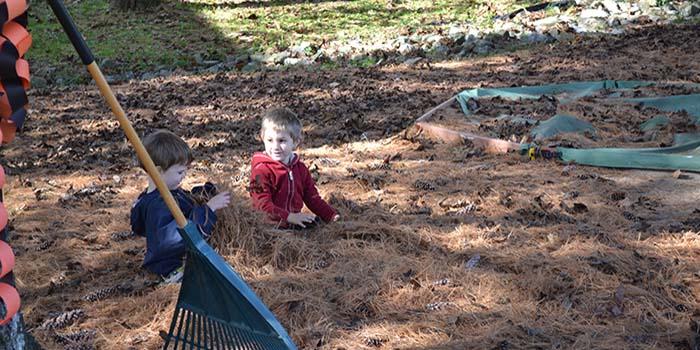 Greenberg%20Child%20Care%20Center%20-%20Pumpkin%20Patch%202017