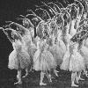 Among the hundreds of photos Limoli included in her exhibit is this one of the Corps de Ballet performing Swan Lake in 1967. (Photo by Duncan)