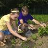 Student Garden