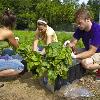 Student Garden
