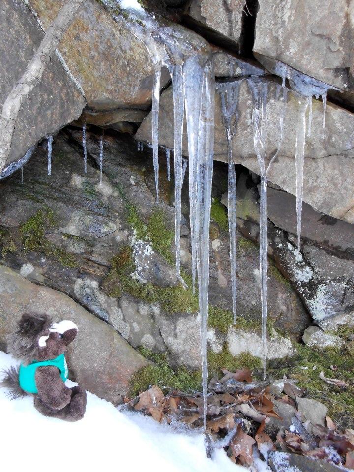 Skids%20was%20fascinated%20with%20the%20icicles%20forming%20on%20some%20basalt.