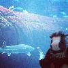 Skids went to the Biodome!