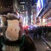 Happy New Year! Skids attempted to join the count down in Times Square on New Year's Eve but it was way too crowded...