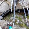Skids was so thirsty from the hike, he enjoyed some fresh water.