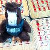 Skids playing Bingo in Florida!