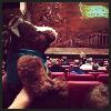 Nashville Ballet