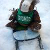 Skids is so excited about winter that he went out and bought a sled that's his own size! Now, if only he could find snow pants that are his size...