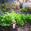 Urban gardening skids