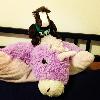 Rides a unicorn