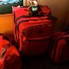 Skids is packed and ready for vacation!
