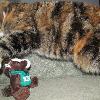 Skids encounters a strange beast and lives!