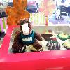 Skids enjoying some cupcakes
