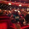 Skids enjoying Don Giovanni