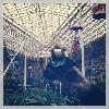  Christmas lights at Opryland!