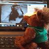 Skids goes to work online to search for distant family members!