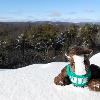 Skids made it to the top of the Temple Woods trail in Greenfield Ma.