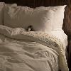 Only a King Size is good enough for Skids.
