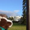 Skids is contemplating running for office in 2016.