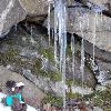 Skids was fascinated with the icicles forming on some basalt.