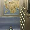 #SkidsOnTheLoose in the NYC subway. Looking for that @gregmocker guy. 