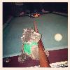 Skids playing some pool