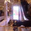 Skids goes to Macy's Flagship store on Herald Square, NY