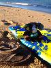 Skids went to HAWAII! 