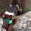Making friends
