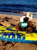 Skids went to HAWAII! 