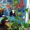 Channeling Tarzan in the classroom.