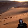 Skids enjoys the Sahara 