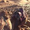 Skids explores the Sahara in style