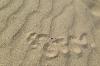 Creative footprints matter. (Bávaro, Dom. Rep.)