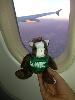 Skids over LAX