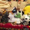 Can you find Skids? He is such a jokester: Here on top of a hill of (other) stuffed animals