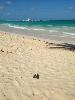 Beach Bummin in Bávaro, Dominican Republic