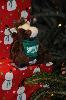 Skids found these festive packages to perch upon and from where to get a glimpse of the world outside his basic box when he arrived at Susan Flanders Davidson's '71 home in Rome, NY! He was invigorated by the sights, sounds, and smells of the holiday season.
