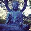 Skids meets Buddha