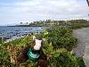 Skids loving his Hawaiin beach day 