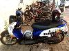 Skids is learning how to ride a motorbike in Thailand! Of course, he has his helmet ready - safety first.