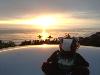 Skids enjoying the Santa Barbara sunset