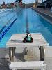 Skids gets on the block for a sprint swimming set with the Skidmore Swimming and Diving team in Ponce, Puerto Rico. He is always shocked at the length of this 50 meter long course pool.