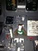 Skids helped the pilot land the plane from New Orleans to Memphis!