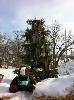 Admiring a Maine-style Christmas tree in Rockport, Maine. 