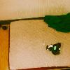 Jack took this out of my packed stuff while I was loading the car #skidsontheloose?
