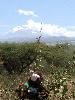 Mt Kilimanjaro, Tanzania.